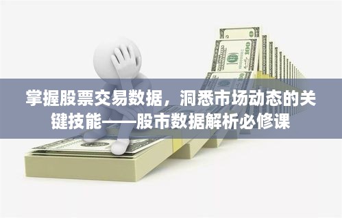 掌握股票交易数据，洞悉市场动态的关键技能——股市数据解析必修课