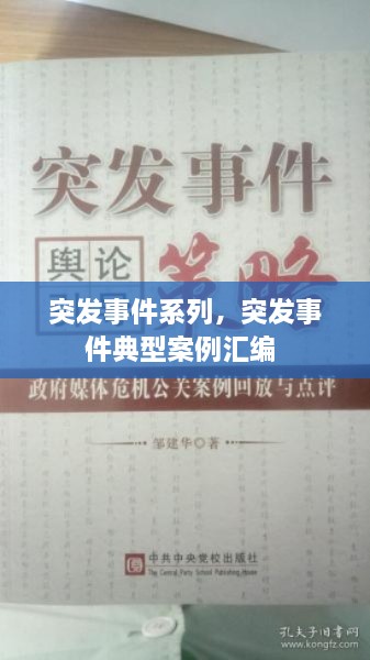 突发事件系列，突发事件典型案例汇编 