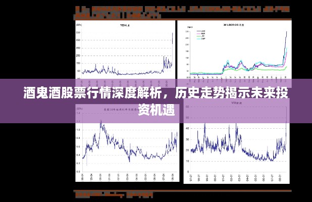 酒鬼酒股票行情深度解析，历史走势揭示未来投资机遇