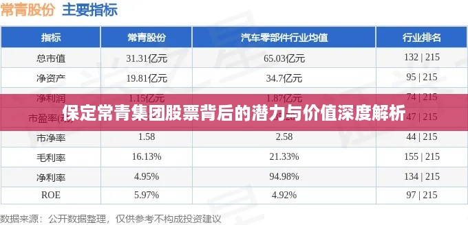 保定常青集团股票背后的潜力与价值深度解析