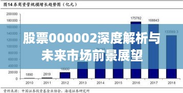 股票000002深度解析与未来市场前景展望