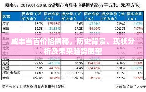 咸丰当百价格揭秘，历史背景、现状分析及未来趋势展望