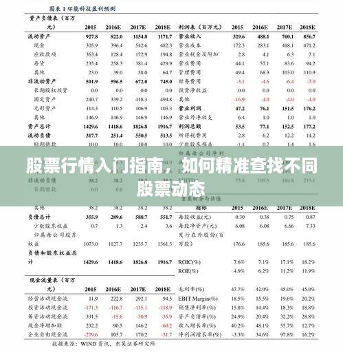 股票行情入门指南，如何精准查找不同股票动态