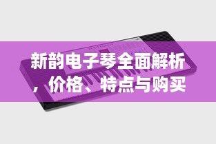 新韵电子琴全面解析，价格、特点与购买建议