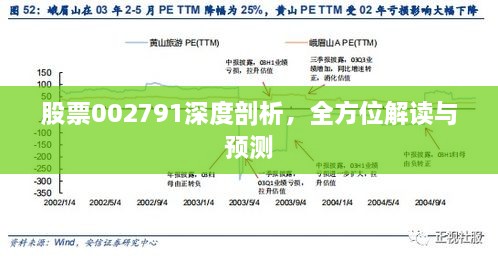 股票002791深度剖析，全方位解读与预测