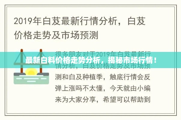 最新白料价格走势分析，揭秘市场行情！