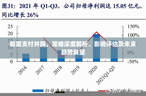 股票支付并购，策略深度解析、影响评估及未来趋势展望