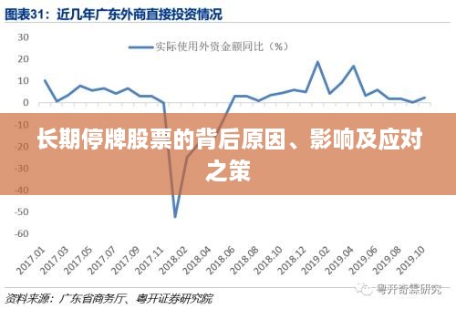 长期停牌股票的背后原因、影响及应对之策