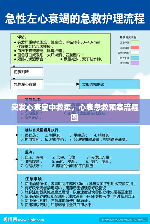 突发心衰空中救援，心衰急救预案流程图 