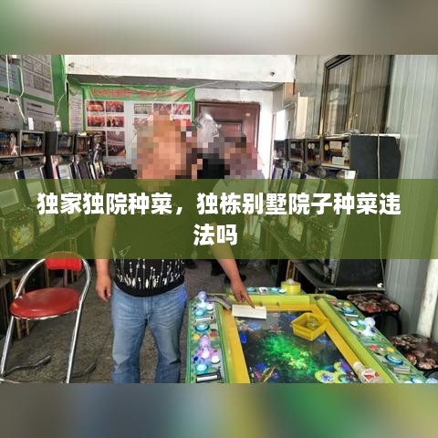 独家独院种菜，独栋别墅院子种菜违法吗 