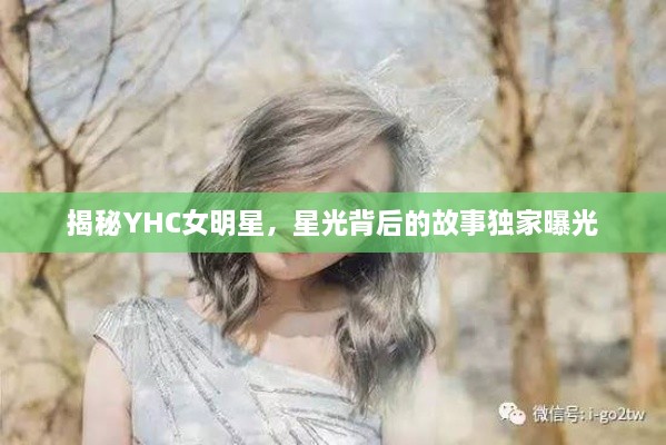 揭秘YHC女明星，星光背后的故事独家曝光