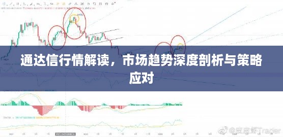 通达信行情解读，市场趋势深度剖析与策略应对