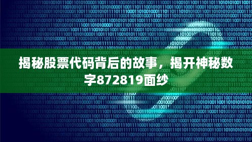 揭秘股票代码背后的故事，揭开神秘数字872819面纱