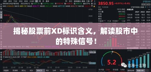 揭秘股票前XD标识含义，解读股市中的特殊信号！