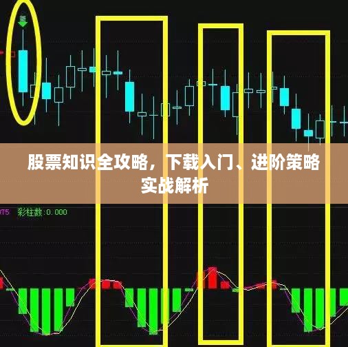 股票知识全攻略，下载入门、进阶策略实战解析