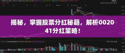 揭秘，掌握股票分红秘籍，解析002041分红策略！