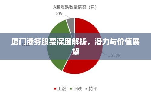 厦门港务股票深度解析，潜力与价值展望