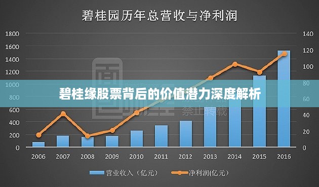 碧桂缘股票背后的价值潜力深度解析