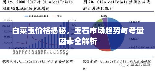 白菜玉价格揭秘，玉石市场趋势与考量因素全解析