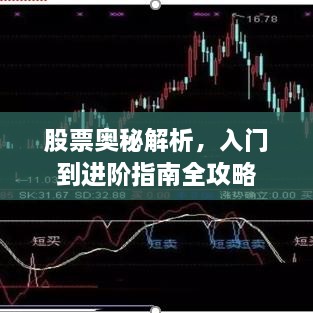 股票奥秘解析，入门到进阶指南全攻略