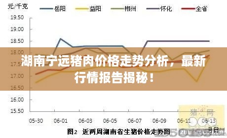 湖南宁远猪肉价格走势分析，最新行情报告揭秘！