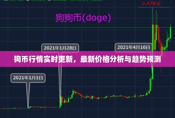 狗币行情实时更新，最新价格分析与趋势预测