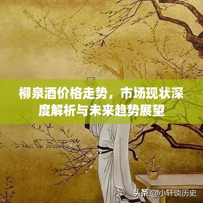 柳泉酒价格走势，市场现状深度解析与未来趋势展望