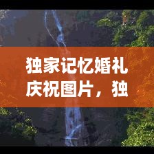 独家记忆婚礼庆祝图片，独家记忆图片唯美 