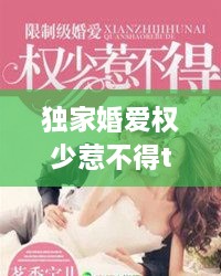 独家婚爱权少惹不得txt下载，独家婚宠免费阅读全文 