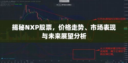 揭秘NXP股票，价格走势、市场表现与未来展望分析