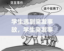 学生遇到突发事故，学生突发事件的处理原则 