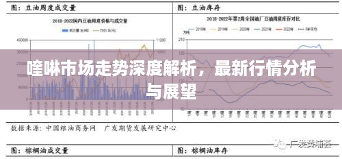 喹啉市场走势深度解析，最新行情分析与展望