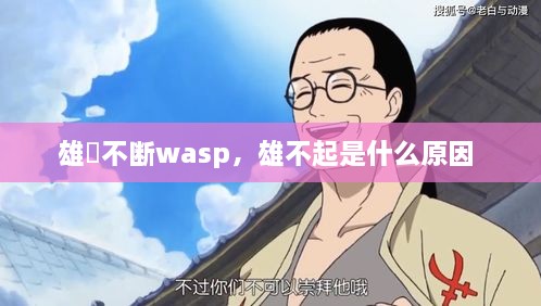 雄獣不断wasp，雄不起是什么原因 