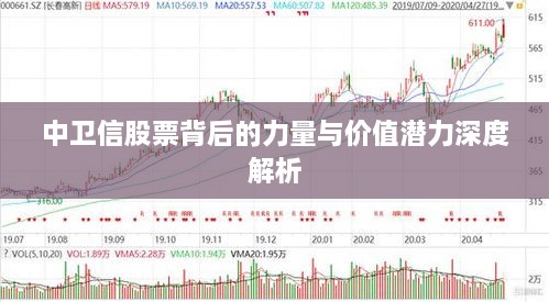 中卫信股票背后的力量与价值潜力深度解析