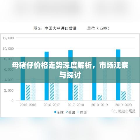 母猪仔价格走势深度解析，市场观察与探讨