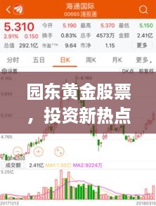 园东黄金股票，投资新热点，财富新选择