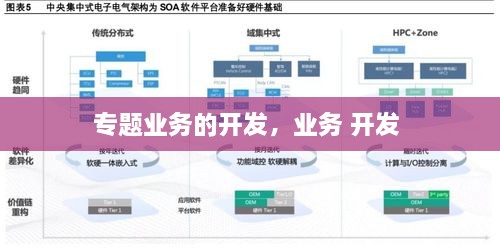 专题业务的开发，业务 开发 