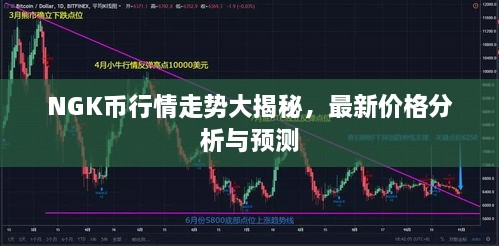 NGK币行情走势大揭秘，最新价格分析与预测