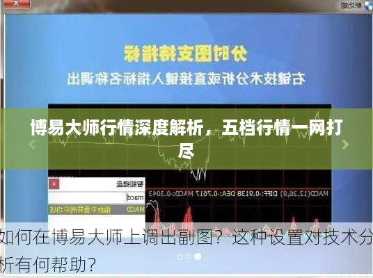 博易大师行情深度解析，五档行情一网打尽