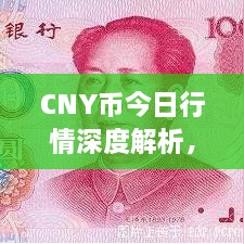 CNY币今日行情深度解析，最新价格动态一网打尽！