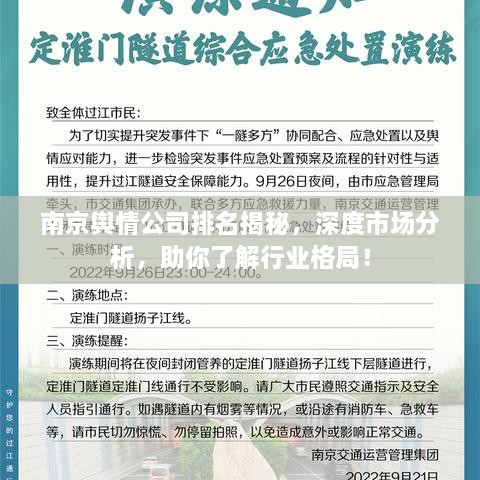 南京舆情公司排名揭秘，深度市场分析，助你了解行业格局！