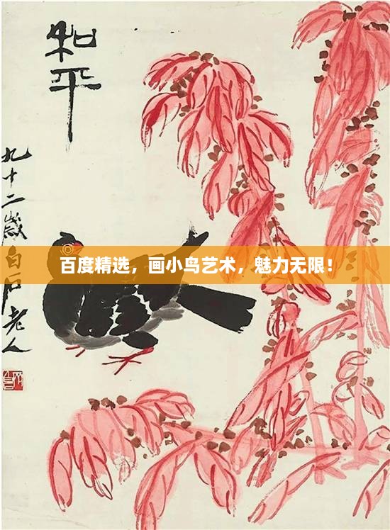 百度精选，画小鸟艺术，魅力无限！