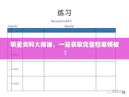 明星资料大揭秘，一站获取完整档案模板！