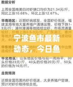 宁波鱼市最新动态，今日鱼价、市场走势及影响因素全解析