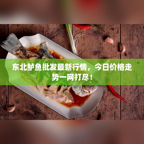 东北鲈鱼批发最新行情，今日价格走势一网打尽！