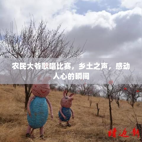 农民大爷歌唱比赛，乡土之声，感动人心的瞬间