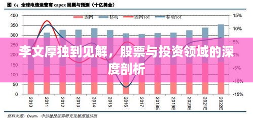 李文厚独到见解，股票与投资领域的深度剖析