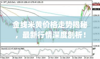 金线米黄价格走势揭秘，最新行情深度剖析！