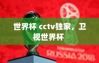 世界杯 cctv独家，卫视世界杯 