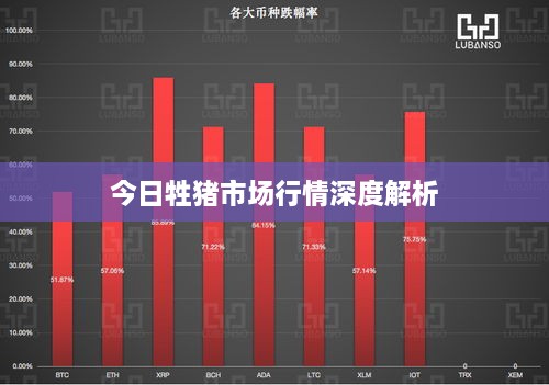 今日牲猪市场行情深度解析